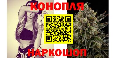 индика Заволжье