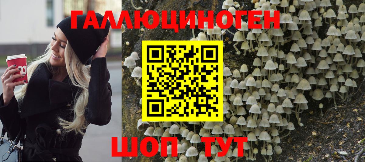 Новодвинск  Псилоцибиновые грибы мицелий  купить наркотики сайты  Вход с VPN 