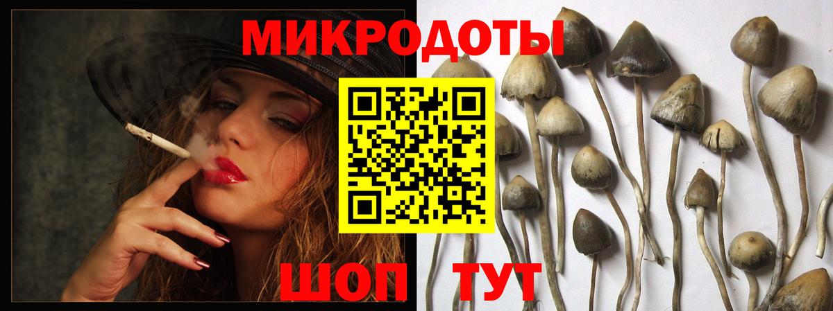 Псилоцибиновые грибы мицелий Новодвинск