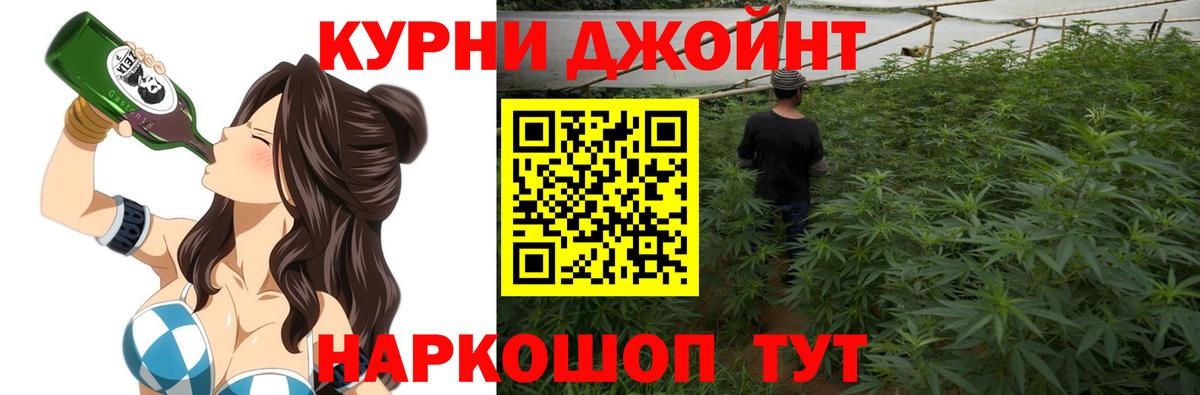 Марихуана план  Марихуана планчик  Шишки марихуана конопля  Вход с VPN  Новодвинск 